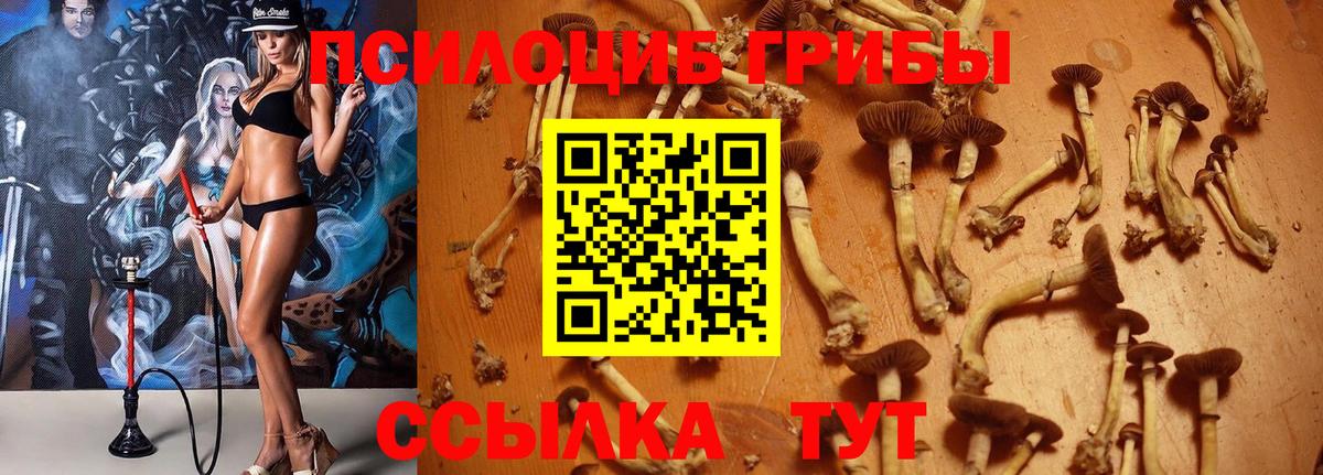 Каннабис Лабинск