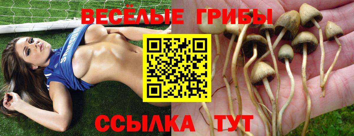 наркота  Псилоцибиновые грибы мицелий  Вход с VPN  Лабинск 